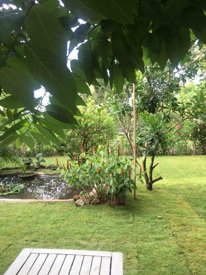 מלון פאן ת'ייט Le Jardin D'Alice מראה חיצוני תמונה